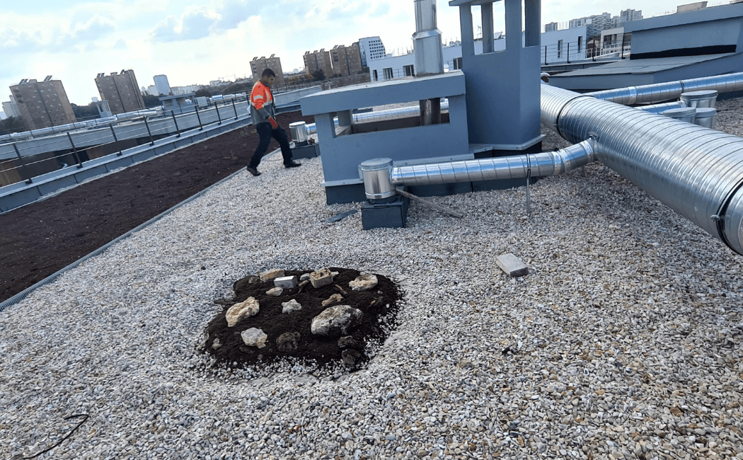 Maintenance et réfection étanchéité toiture